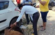 जय गौ माता,जय राष्ट्र माता..