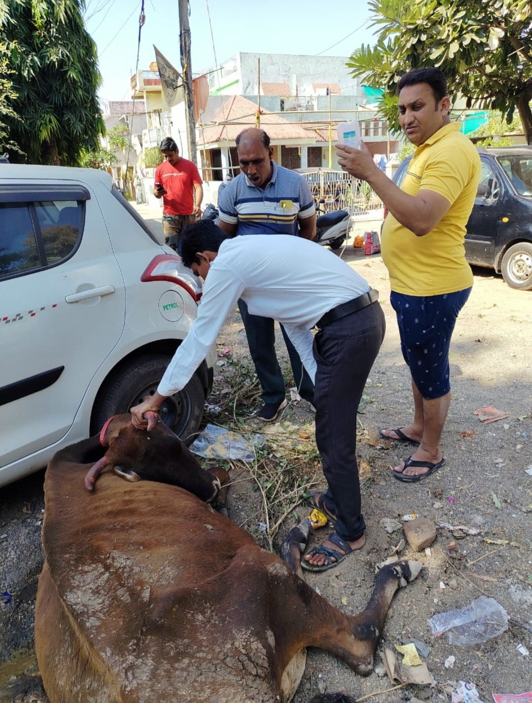 जय गौ माता,जय राष्ट्र माता..