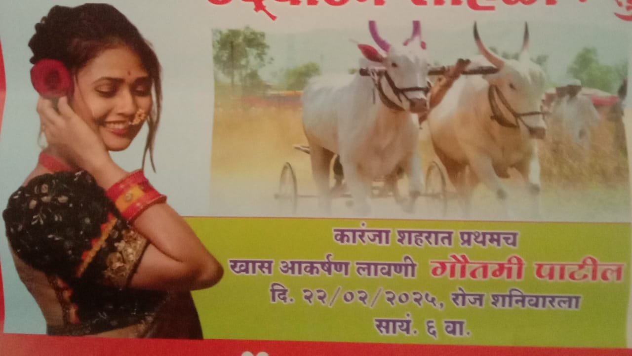 गौतमी पाटील ची लावणी होणार सादर..कारंजा घाडगे जिल्हा वर्धा येथे भव्य जंगी शंकर पट व कृषी प्रदर्शन...