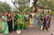 अखिल भारतीय महात्मा फुले समता परिषद महिला आघाडीने पर्यावरणाचे महत्त्व जाणून मोठ्या प्रमाणात केली वटवृक्षाची लागवड....