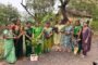 पर्यावरण दिनानिमित्त वृक्ष सेवा समितीतर्फे वृक्षरोपण सोहळ्याचे आयोजन....