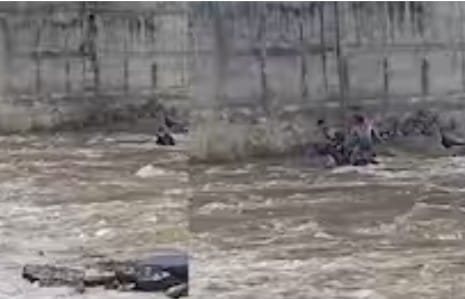 नशिब बलवत्तर म्हणून बचावला...