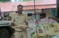 पांढरे चंदन तस्करी; पुष्पा गँग मलकापूर शहर पोलिसांच्या ताब्यात....