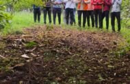 गौ माता राज्य माता घोषित करने के बाद भी गौ माताओं की हालत गंभीर महाराष्ट्र में