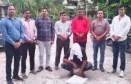 पानठेले पर सार्वजनिक रूप से गांजा बेचते दुकानदार गिरफ्तार, 2.62 किलो गांजा जब्त...