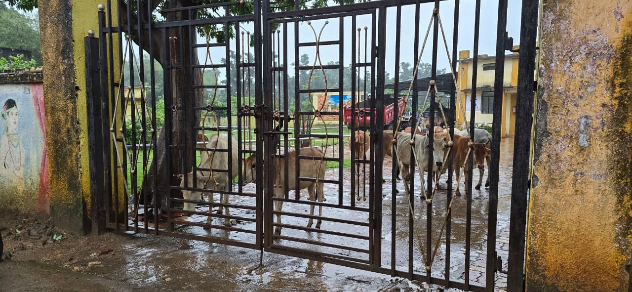 गोटूलचा अपमान — ऑल इंडिया आदिवासी महासभा आक्रमक; प्रशासनाकडे कारवाईची मागणी...
