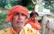 गौ माता के सम्मान में बसवा टीम मैदान में