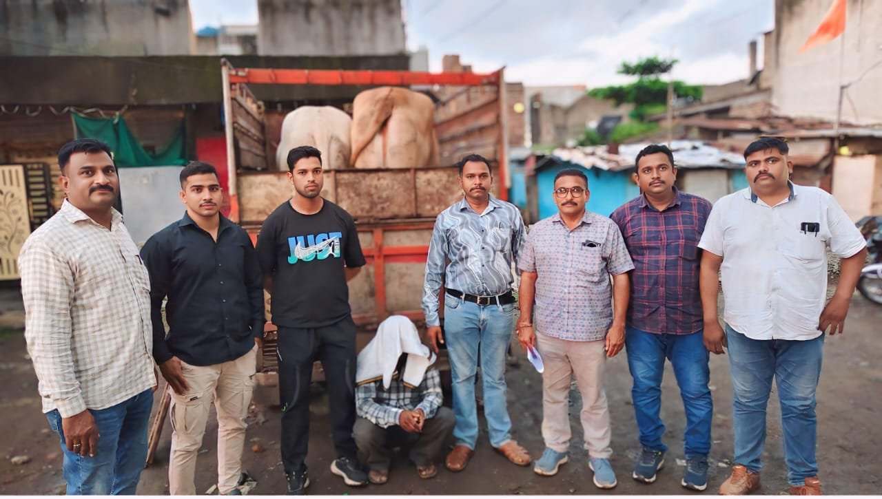 ऑपरेशन प्रहार' अंतर्गत अकोट फाईल अकोला पोलीसांनी दिले २ गोवंशाना जीवनदान एका आरोपीसह ३,०५,००० चा मुद्देमाल ताब्यात...