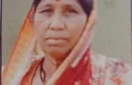 लोणार तालुक्यातील पहूर येथील सर्पदंशाने ५५ वर्षीय महिलेचा मृत्यू...