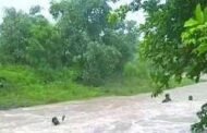 वाहून जाणाऱ्या महिलेस तरुणांनी वाचविले...