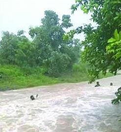वाहून जाणाऱ्या महिलेस तरुणांनी वाचविले...