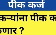 ऑनलाईन पीककर्ज वाटपाचं गाजावाजा, पण वास्तवात मात्र फार वेगळं चित्र!