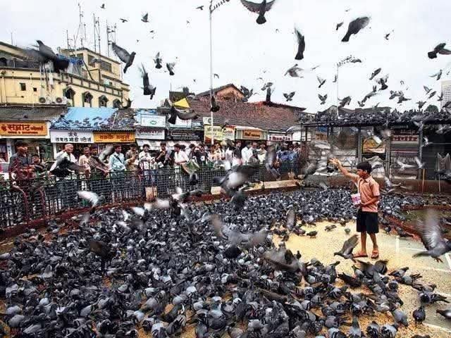 एक डॉक्टर आणि जैन म्हणून माझी नम्र विनंती ...