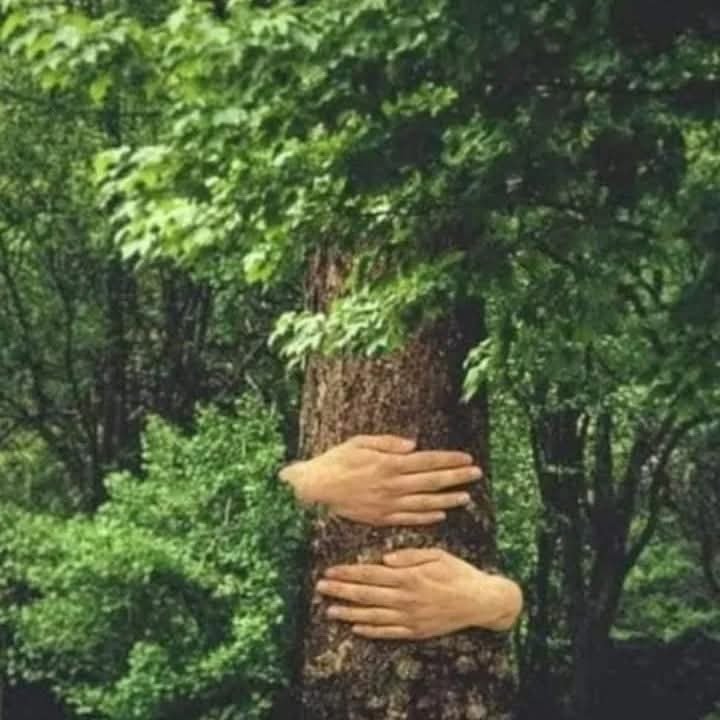 तुम्ही एकही झाड लावू नका....?
