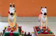 देलनवाडी वॉर्ड ब्रम्हपुरी. येथे तान्हा पोळा उत्साहामध्ये साजरा...