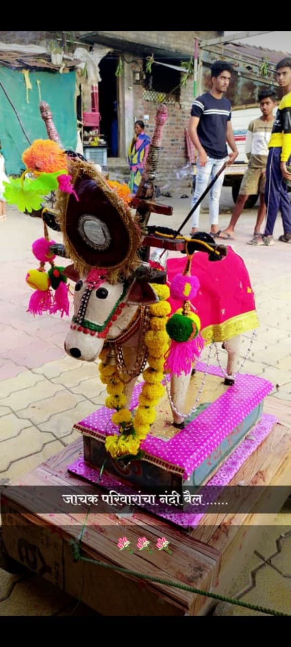 कुरझडी (जा.)येथील वेदांत आशिष जाचक यांचा नंदी बैल ठरला विशेष आकर्षण....