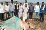 कंधार येथील आपत्ती व्यवस्थापन विभागाचा गलथान कारभाराने शेतकरी त्रस्त.!