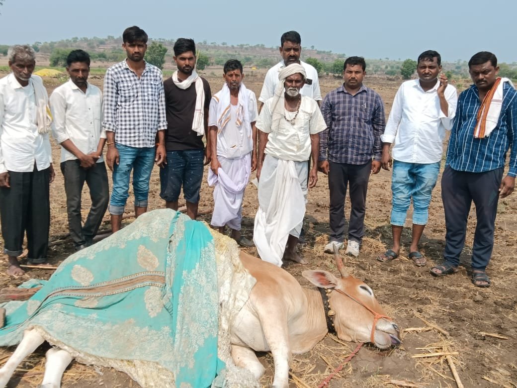 कंधार येथील आपत्ती व्यवस्थापन विभागाचा गलथान कारभाराने शेतकरी त्रस्त.!