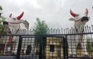 उत्कृष्ट शेती पिकवणाऱ्या शेतकऱ्याला 