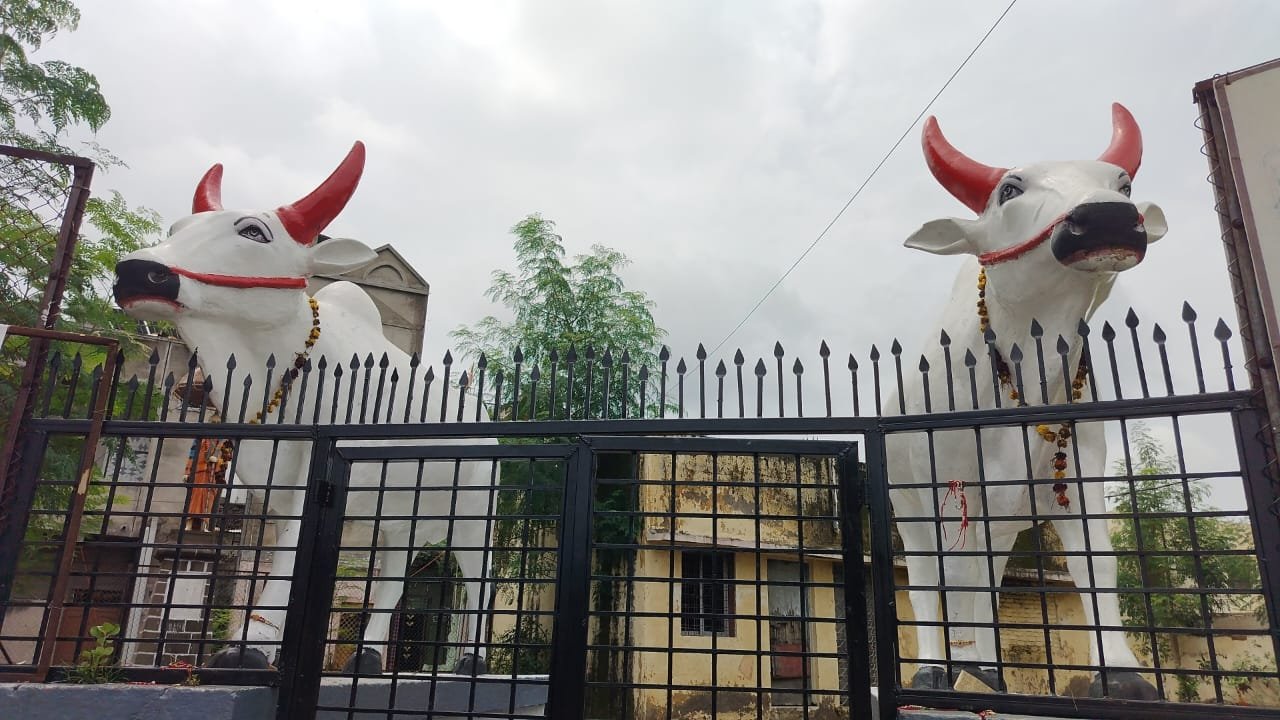 उत्कृष्ट शेती पिकवणाऱ्या शेतकऱ्याला 