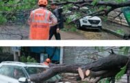 ठाण्यात कार व स्ट्रीट लाईट पोलवर झाडाची फांदी कोसळली...